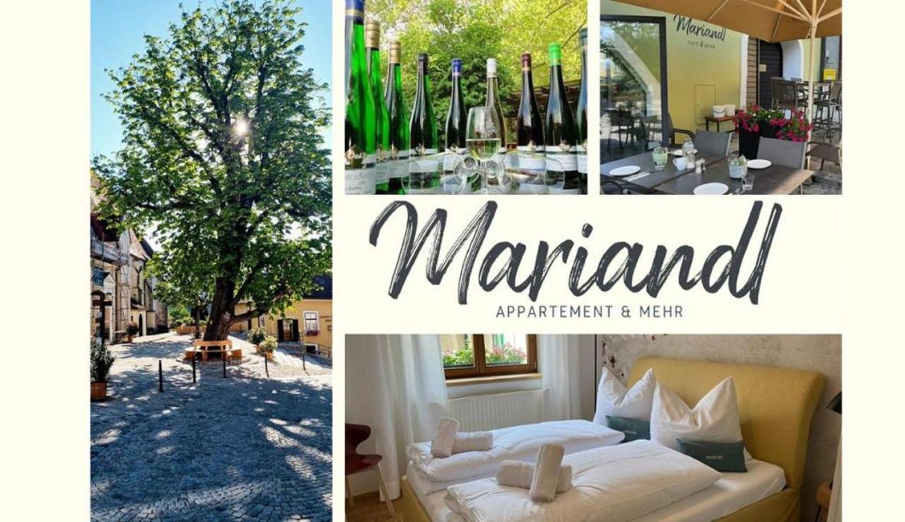 Mariandls Appartement&Mehr Spitz an der Donau Exteriér fotografie